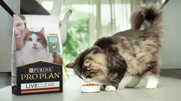 PRO PLAN LiveClear – The First Cat Allergen Reducing Cat Food