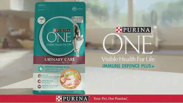 Purina ONE Immune Defence Plus+ Natural Protective System B