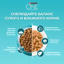 Сухой корм для кошек Purina ONE для чувствительного пищеварения с индейкой 750г