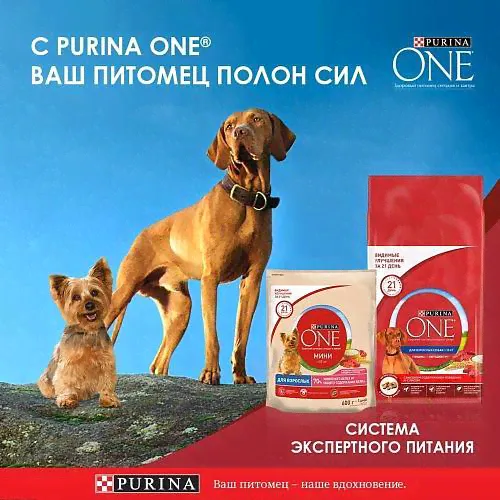 Влажный корм для взрослых собак мелких пород Purina ONE Мини Контроль веса, с курицей, коричневым рисом и томатами в подливе, Пауч-3