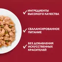 Влажный корм для собак мелких пород старше 1 года Purina ONE Мини Взрослая, с курицей, морковью и зеленой фасолью в подливе, Пауч