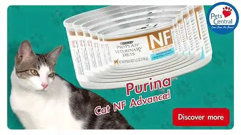 Pets Central - Purina Pro Plan Kidney Function Advanced Care Feline Formula