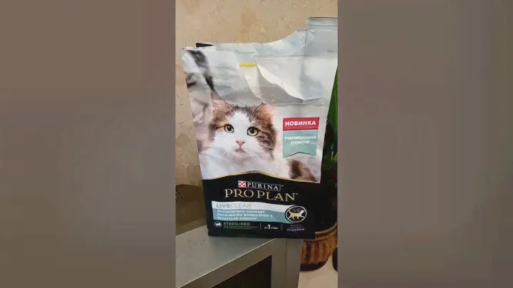 Purina Pro Plan и Кузя