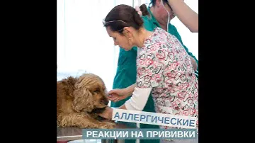 АЛЛЕРГИЧЕСКИЕ РЕАКЦИИ НА 💉 ПРИВИВКИ