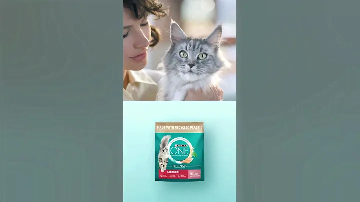 Purina One Bifensis: Kedinizin Vücudundaki İyi ve Kötü Bakterileri Dengeler