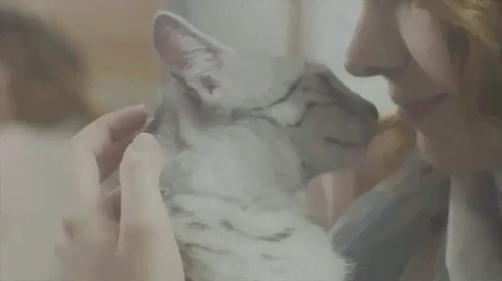 13  Реклама Purina Pro Plan   История Клео