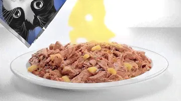 NEW Felix Sensations Extras TV Advert