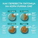 Purina ONE Сухой корм для взрослых домашних кошек, с индейкой и цельными злаками, 9,75 кг