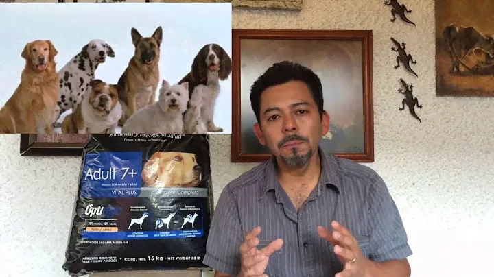 Proplan Senior 7+ de Purina
