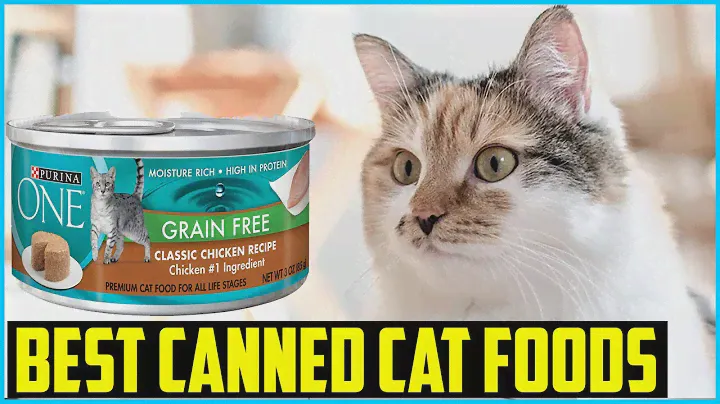 Top 5 Best Canned Cat Foods in 2024