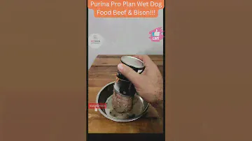 Purina Pro Plan Wet Dog Food Beef & Bison Review: Is It the Best for Your Pup?  #dog #pet #review