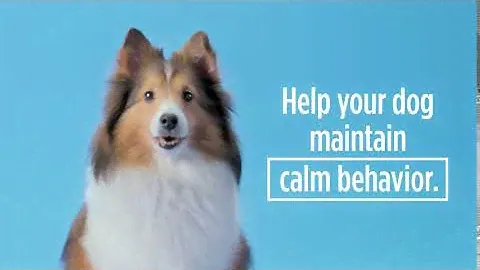 Calming Care Probiotic Supplement for Dogs