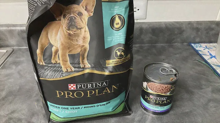 Vlog - Feeding My Frenchie ( PURINA Pro Plan)