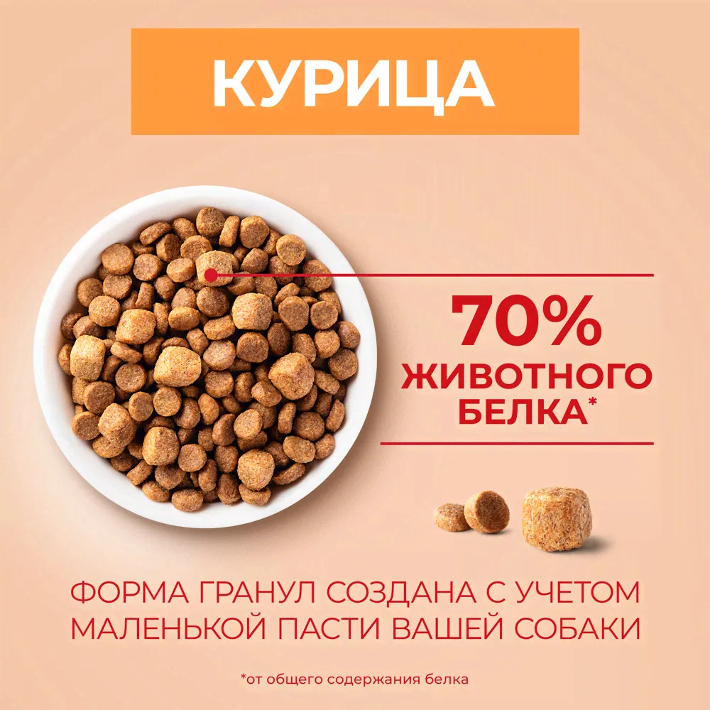 Сухой корм для собак Purina ONE для мелких пород с активным образом жизни с курицей и рисом 3кг-3
