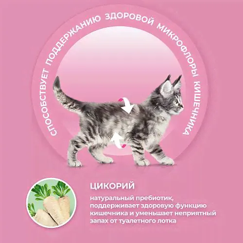 Сухой корм для котят Purina ONE, с высоким содержанием курицы и цельными злаками