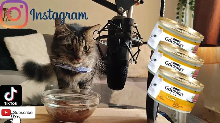 ASMR PURINA GOURMET GOLD MON PETIT INTENSE MUKBANG (No talking) CAT food |Eating Sounds| Lily ASMR