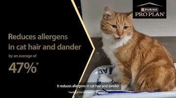 Watch Storm & Nin's Story - PRO PLAN LIVECLEAR Allergen Reducing Cat Food