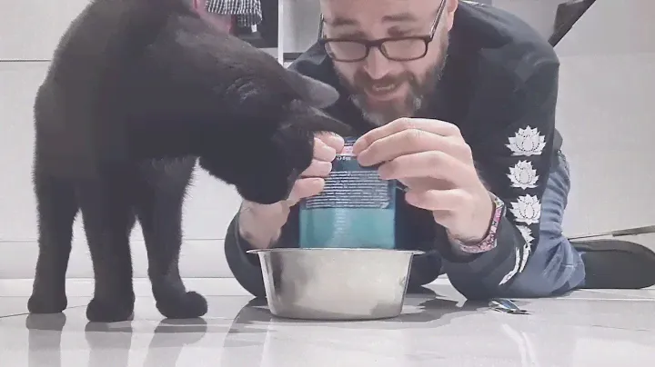 Ghostcat's review of Purina Gourmet Perle Tuna cat food