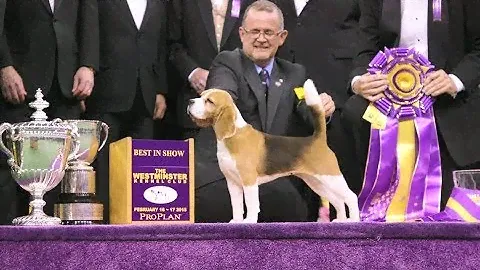 Eddie Dzuik Breeder Purina®  Pro Plan® Advocate